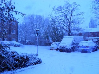 PC310006.JPG