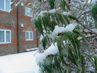 PC310015.JPG