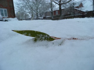 PC310023.JPG