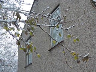 PC310049.JPG