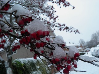 PC310060.JPG