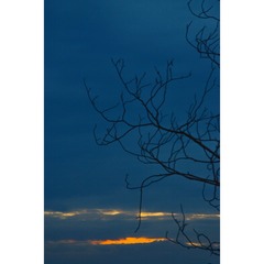 1000109316