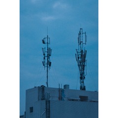 1000109312