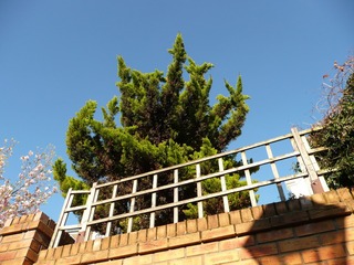 EDBD9A34-D518-45B7-A18B-2AB1DD327B24/L0/001