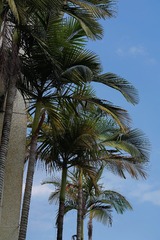 768C6892-4F8E-4211-AF70-5D7D8A972FD7/L0/001