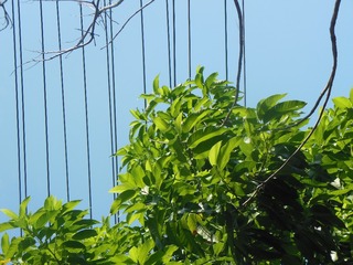 14A9F729-87D2-4193-A8AC-C8E0D53A20FE/L0/001