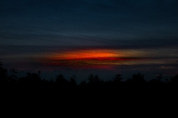 61220