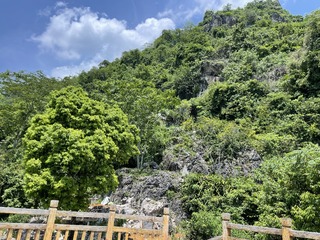 97F50D3E-A478-4857-AA93-3F1EA56DE30D/L0/001