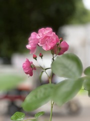 509224AB-7799-4CD7-B5AD-2E4C9A6E8FD6/L0/001