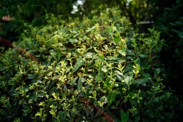669505C0-0F14-49DE-B2F1-5D2698D4BE14/L0/001