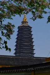 F0BE86D4-D1EB-400C-A049-71A2D59F9240/L0/001