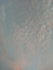 1000006433