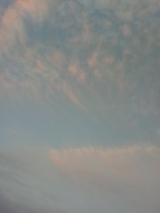 1000006434
