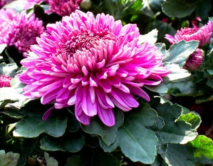 _IGP5297-2.jpg