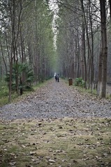 _IGP5707.jpg