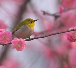10314
