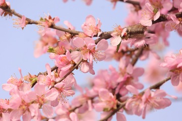 494970BB-A7FB-47C5-AF56-C8BE15F4A3FE/L0/001