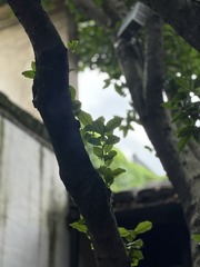 83AE8EB6-0E58-4EF1-AF05-033B3DA0C774/L0/001