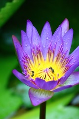 BB5EE7E9-BEE8-419B-9845-5FA5CE959C5F/L0/001