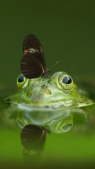 25737