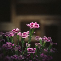 AD983B82-0386-4FFB-86CB-E67ECCDD0AA3/L0/001