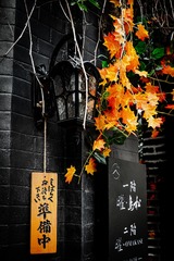 5C061B94-F2D4-4253-B36B-DA4CF584C73A/L0/001