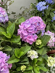 2E8F96B4-6E81-40DC-A920-F75745F8D874/L0/001