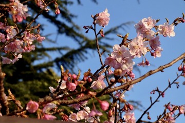 94F65A7B-59F3-4511-B6D4-15E4798C76A4/L0/001