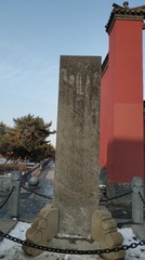 272646