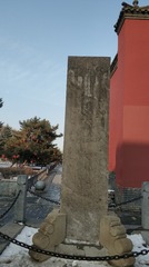 272647