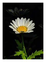B9754B70-92BD-40F3-B4C9-FCBFB09A08D4/L0/001