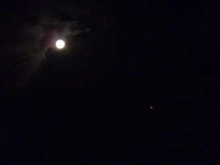 P1040456.JPG