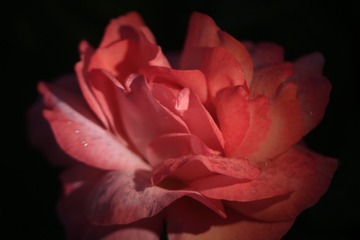 54C8BD5E-1026-47FD-8C2B-D97FC866F3D6/L0/001