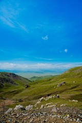 DSC_3736.jpg