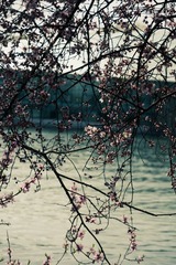 57F7456A-E120-4C3C-9923-6CE8EAD5A755/L0/001
