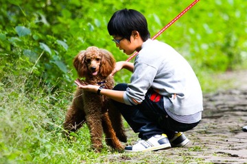 小狗美╭(╯3╰)╮