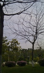 IMG_20120401_144853.jpg