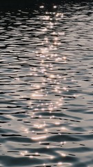 0E14BA9E-B298-4D11-AB0C-8FAD0EB35C12/L0/001