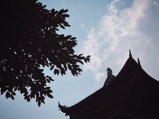 8FE40690-7D66-4D60-A4D5-FBEBC3D94666/L0/001