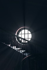 13779407-0501-4A73-8EB5-A5C59FE31081/L0/001