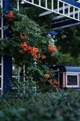 02DB17E8-4416-498D-8CFC-F39620DAECD9/L0/001