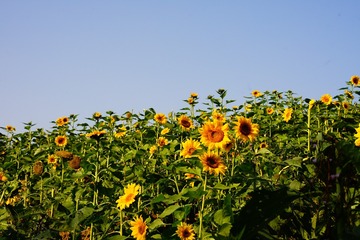 A1220FE2-7664-4395-8A1E-92A62C4F4D04/L0/001