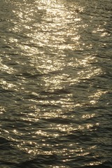 D76F18AD-8B3A-420F-9151-73D09360CD1B/L0/001