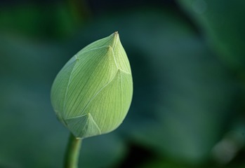 268493