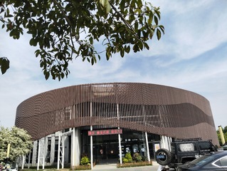 IMG20250430091019
