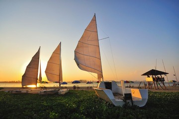 DSC_0211.jpg
