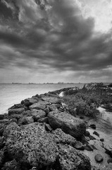 DSC_0022261.jpg