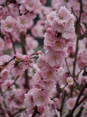 669C2AC8-271C-478D-A43A-3D76440DC0E0/L0/001
