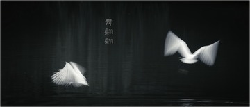 55815