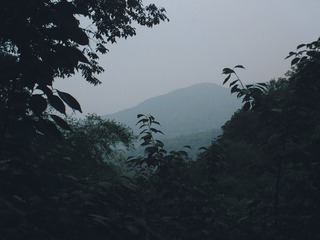 124084A5-7D53-42E8-B6CA-BC2F0847EE2B/L0/001